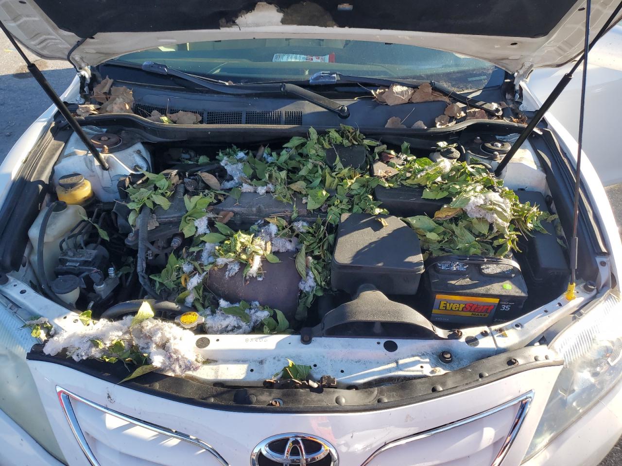2010 Toyota Camry Base VIN: 4T1BF3EK3AU517057 Lot: 82600205