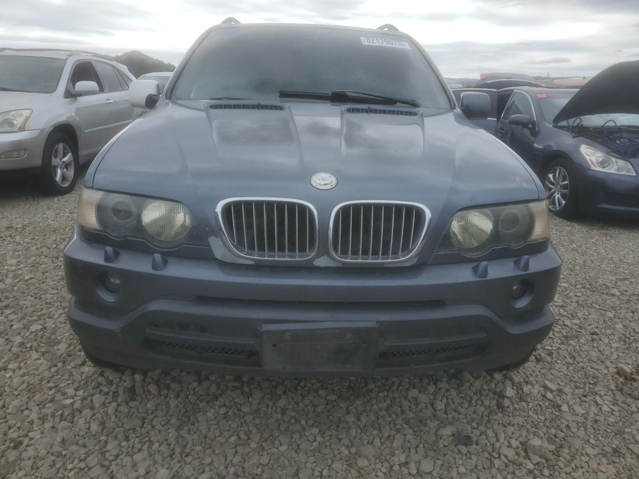 Фото: 5UXFA53552LP43426