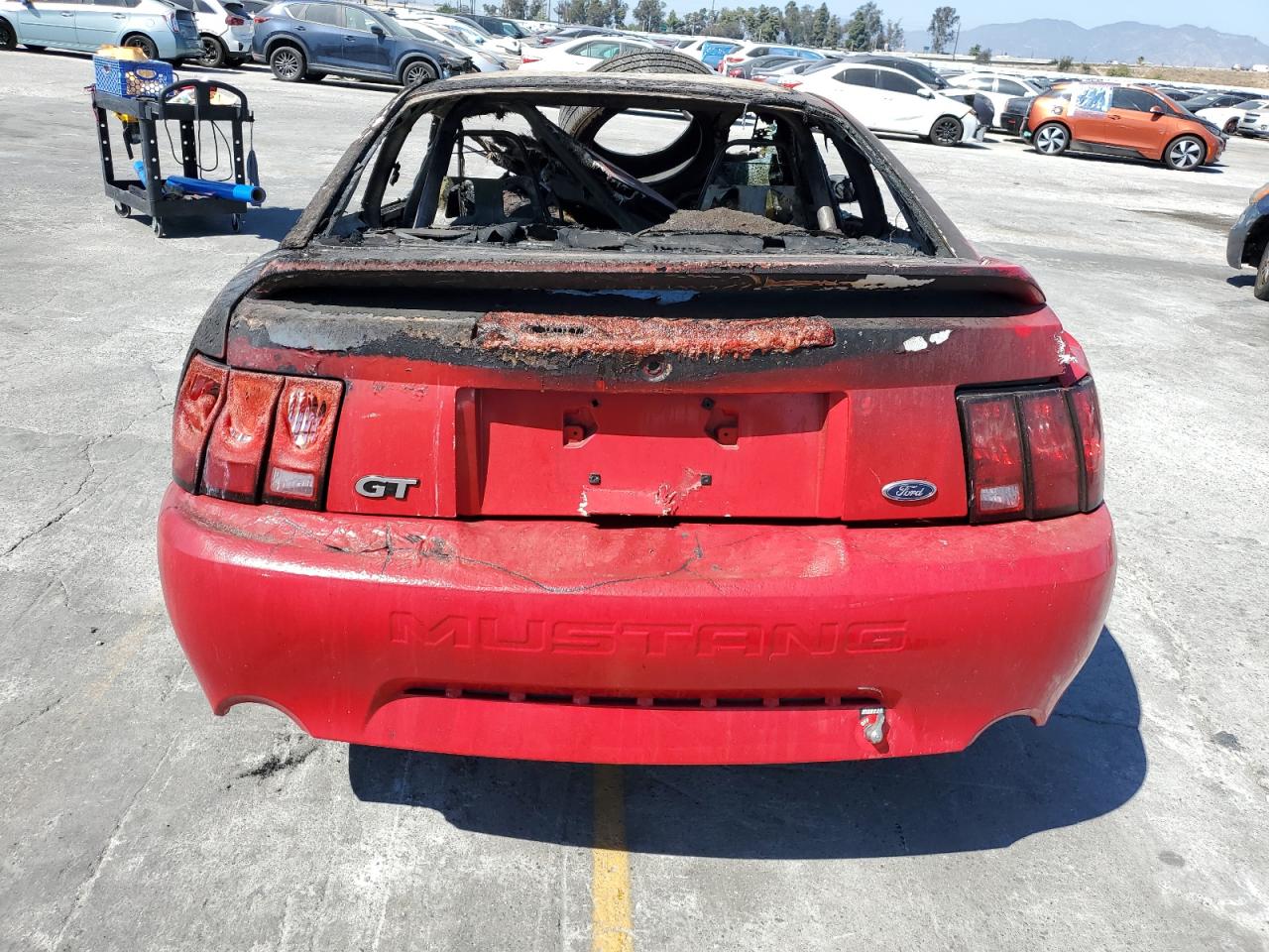 1999 Ford Mustang Gt VIN: 1FAFP42X9XF142531 Lot: 81993385