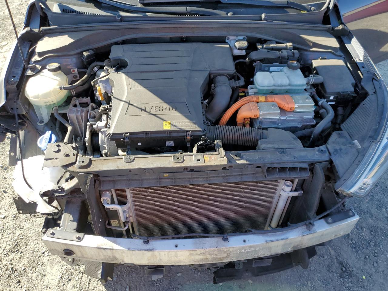 2019 Hyundai Ioniq Blue VIN: KMHC65LC9KU167169 Lot: 86177995