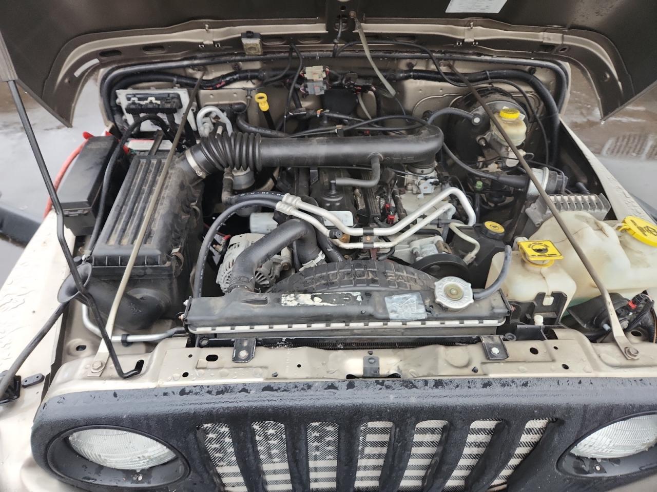 2004 Jeep Wrangler / Tj Rubicon VIN: 1J4FA69S14P800280 Lot: 82372155