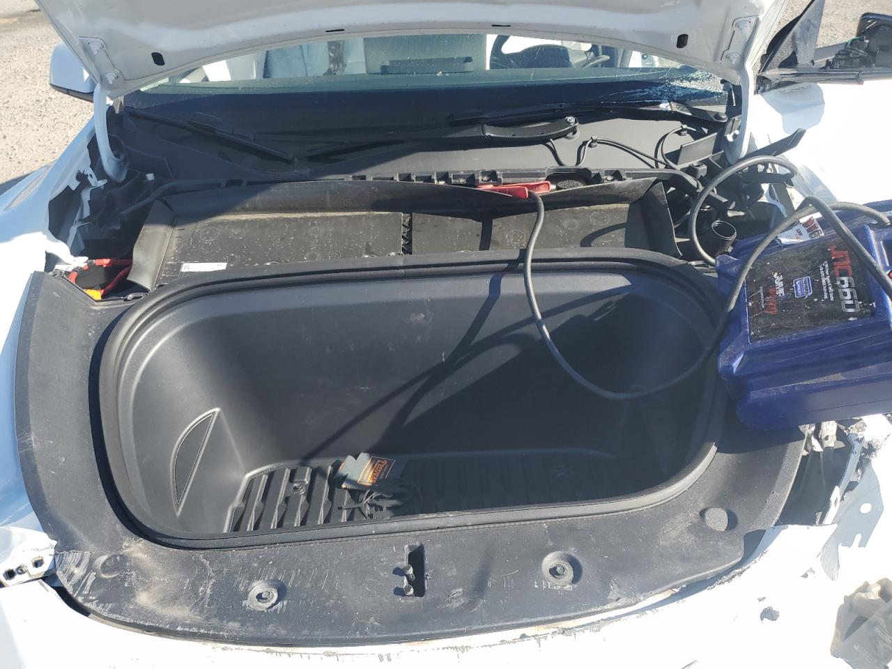 2024 Tesla Model Y VIN: 7SAYGDEE4RA319636 Lot: 87390475