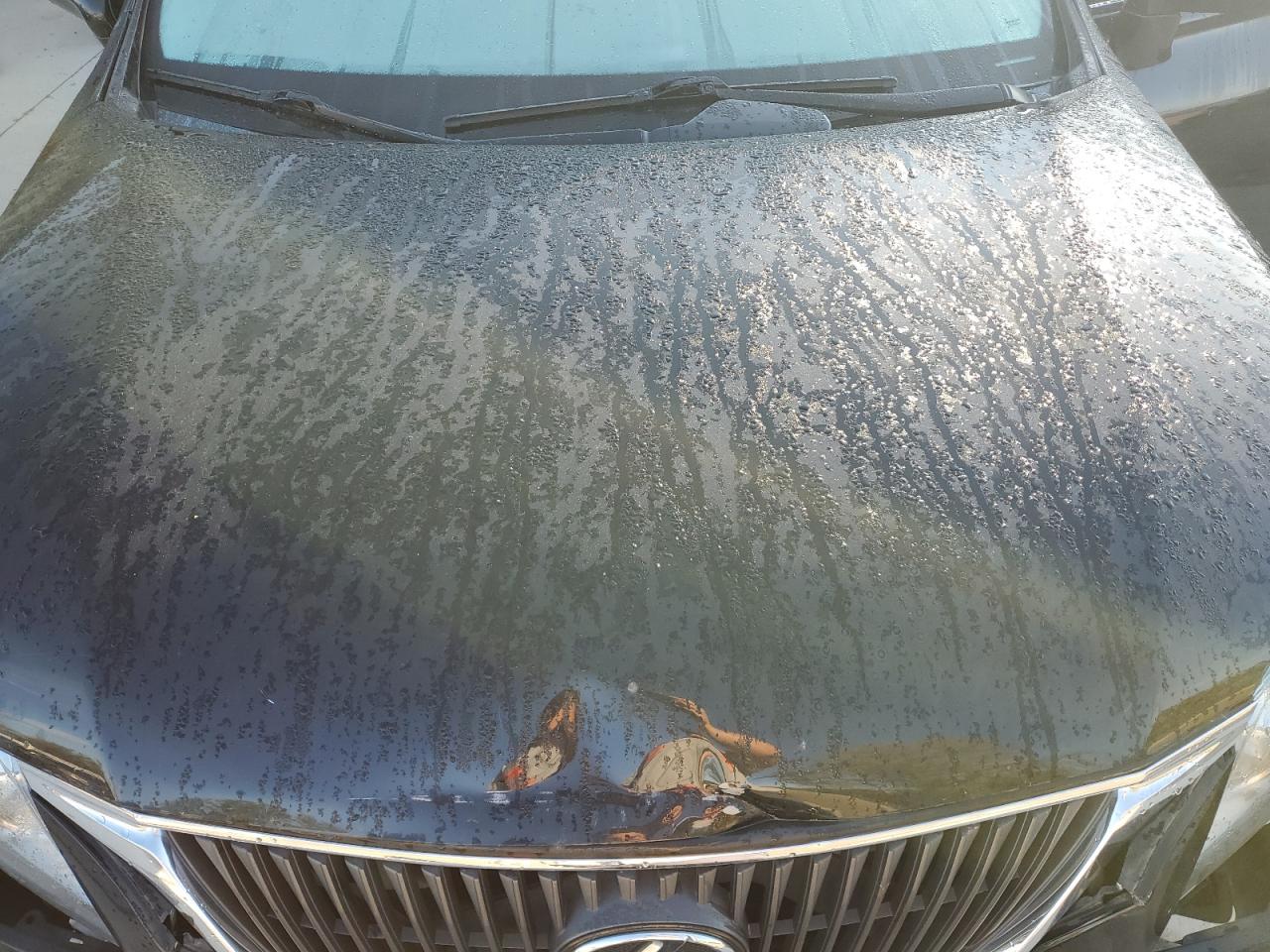 2010 Lexus Rx 350 VIN: 2T2BK1BA0AC075279 Lot: 82433305