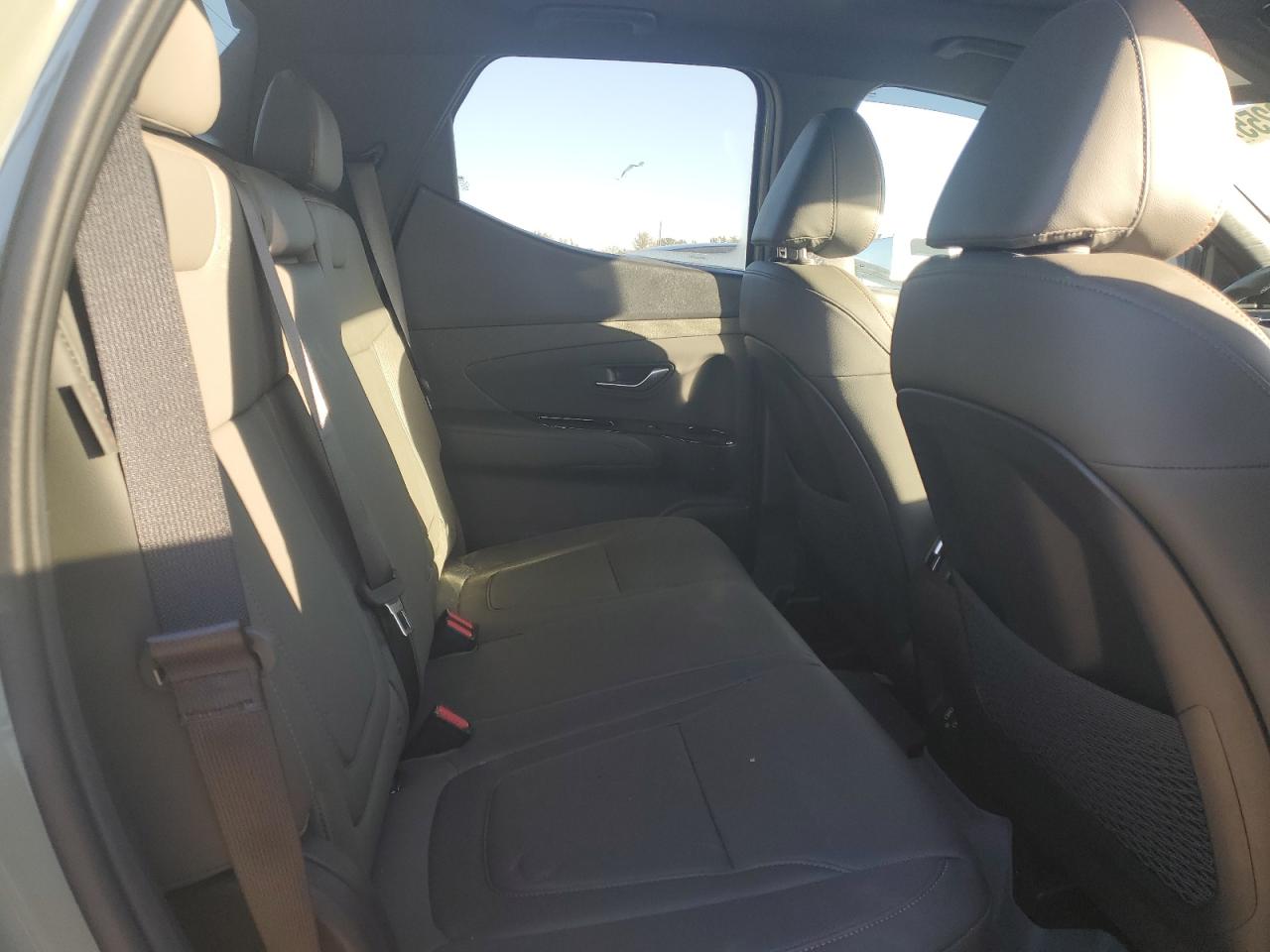 2024 Hyundai Santa Cruz Limited VIN: 5NTJEDDF9RH120943 Lot: 82662255