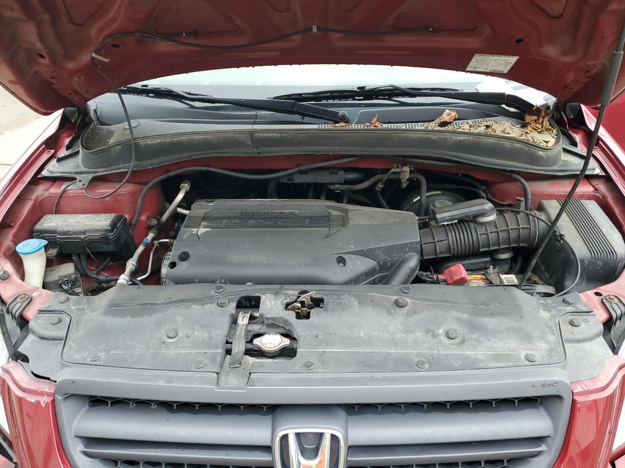 2004 Honda Pilot Exl VIN: 2HKYF18574H617654 Lot: 81978925