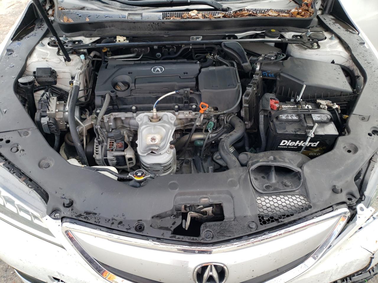 2015 Acura Tlx VIN: 19UUB1F35FA024186 Lot: 84924475