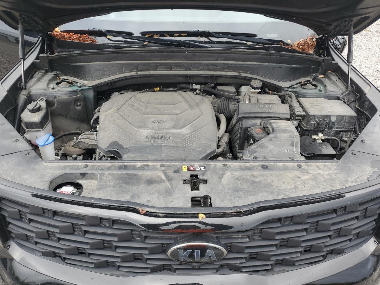 2021 Kia Telluride Sx VIN: 5XYP5DHC8MG186179 Lot: 90513955