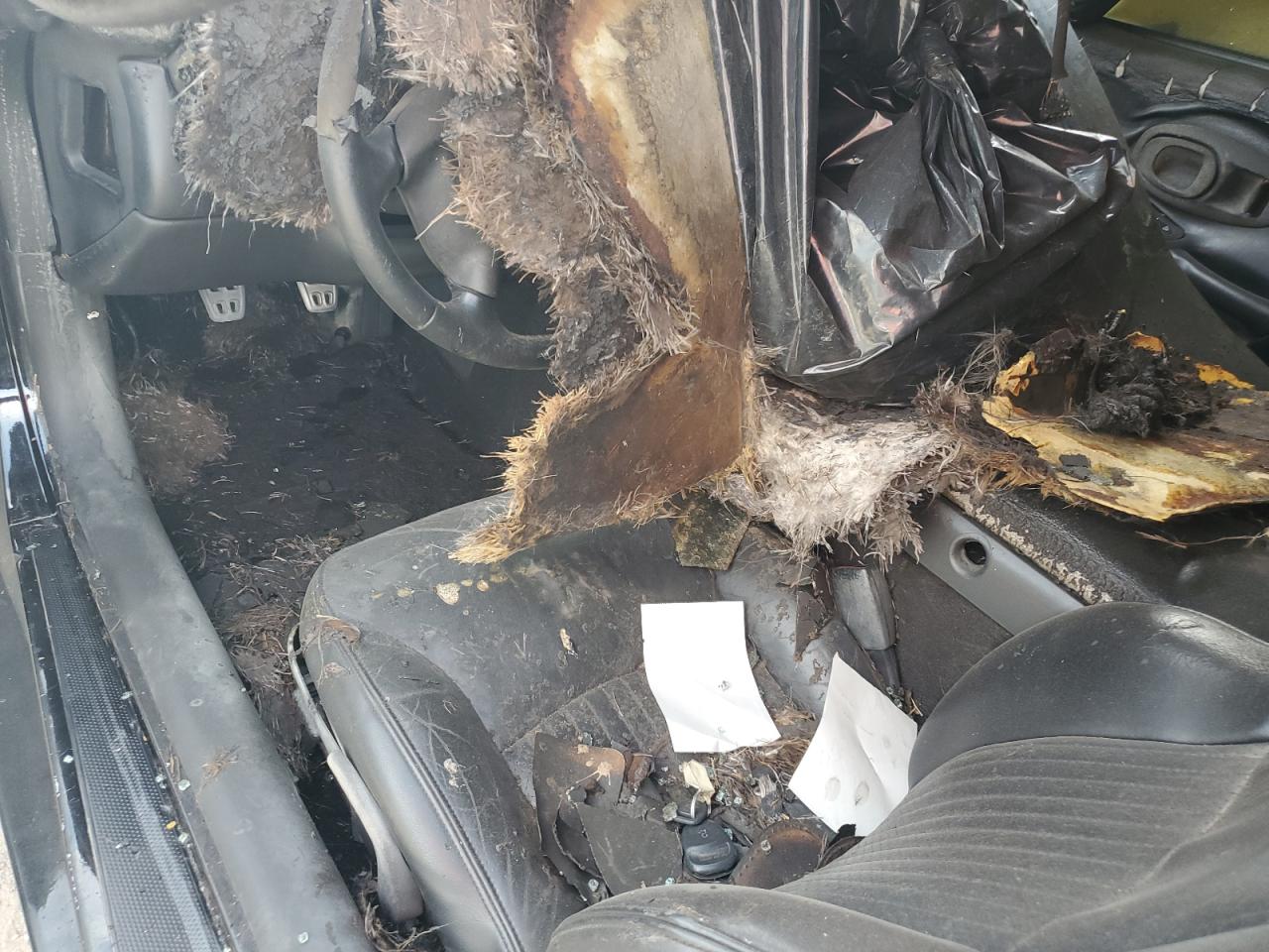 2003 Chevrolet Corvette Z06 VIN: 1G1YY12SX35123434 Lot: 85935065