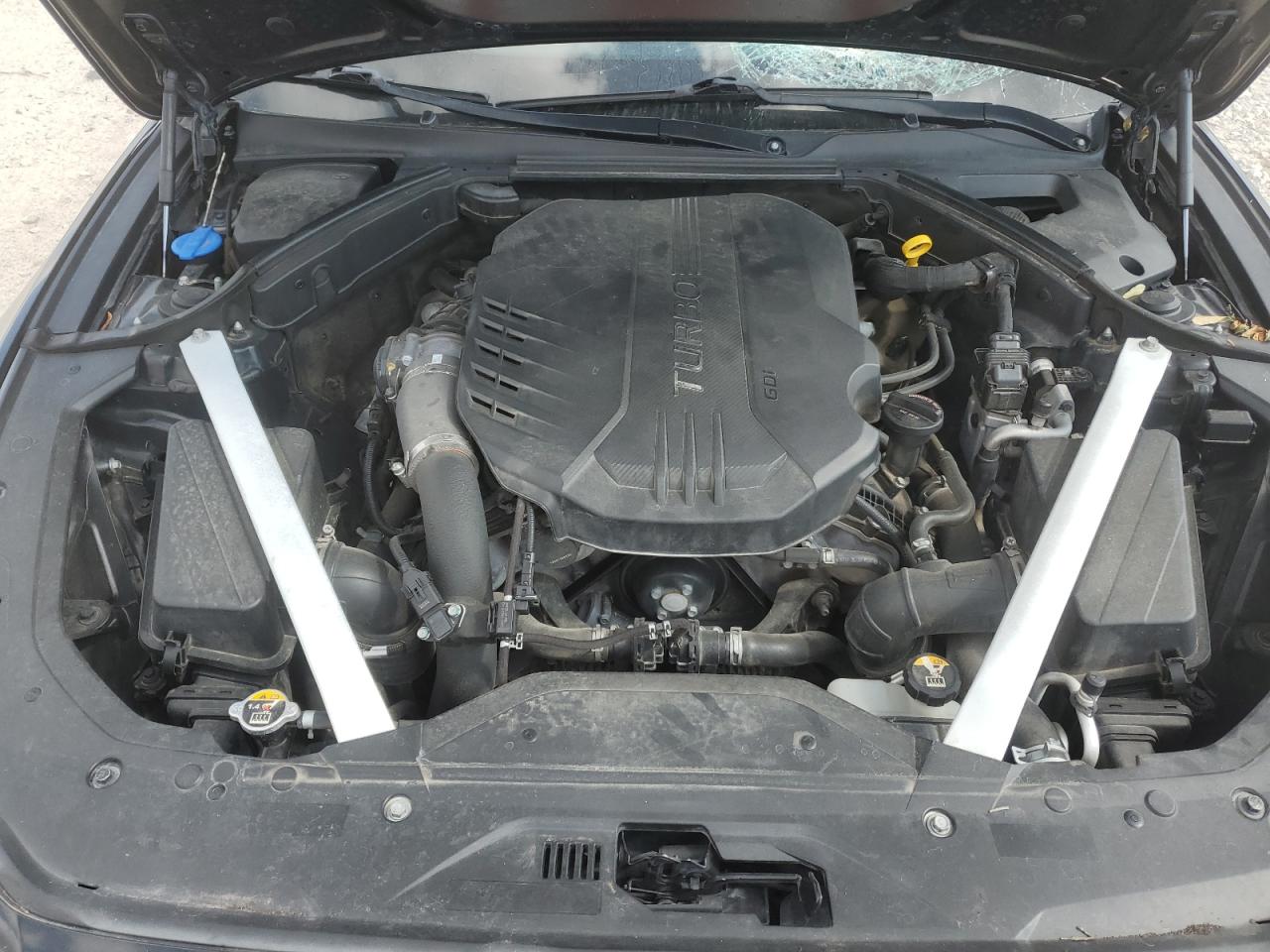 2019 Genesis G70 Prestige VIN: KMTG34LE4KU024352 Lot: 82562355