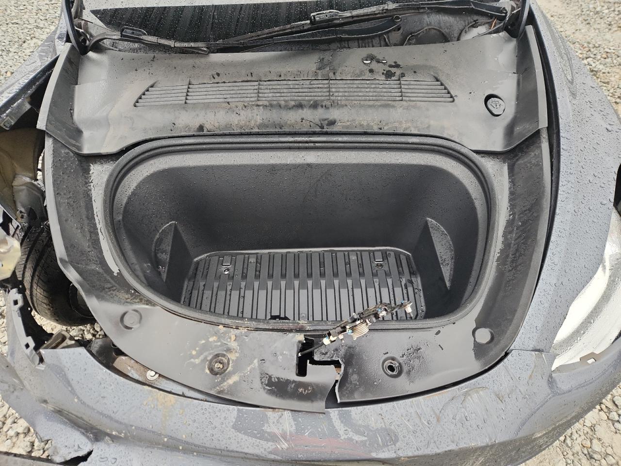 2023 Tesla Model Y VIN: 7SAYGDEE6PA116003 Lot: 85392635