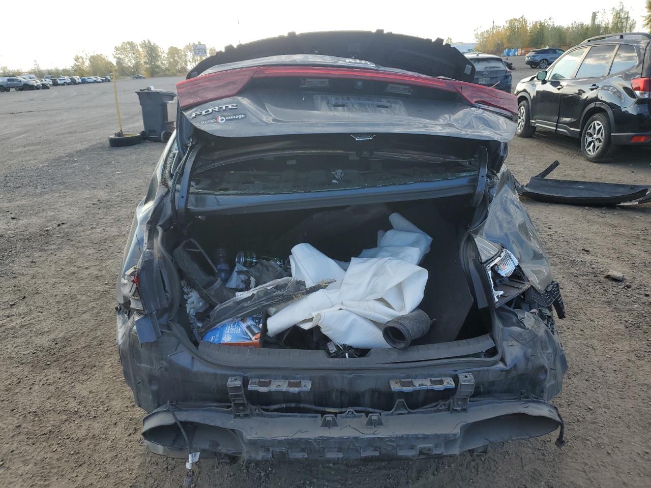 2019 Kia Forte Fe VIN: 3KPF24AD1KE122180 Lot: 85503755