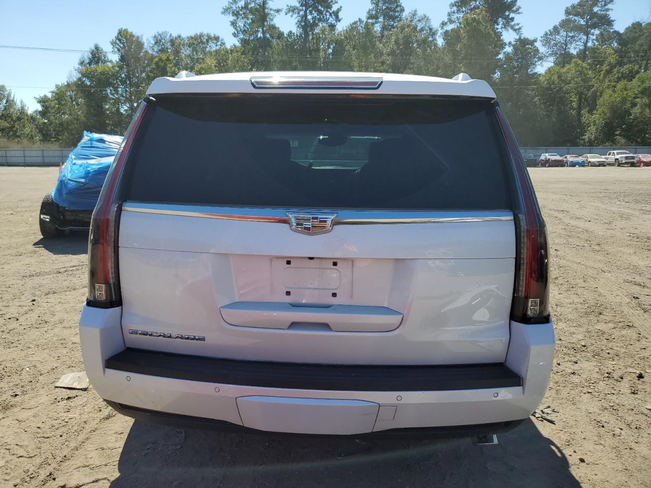 2016 Cadillac Escalade Platinum VIN: 1GYS3DKJ8GR391461 Lot: 87109305