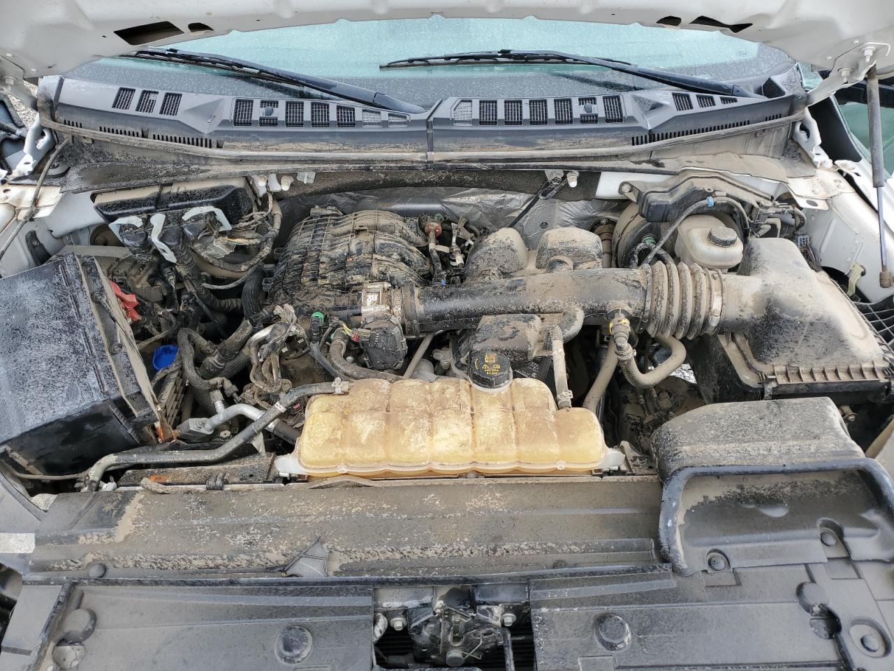 2020 Ford F150 VIN: 1FTMF1EBXLKE03900 Lot: 85499225