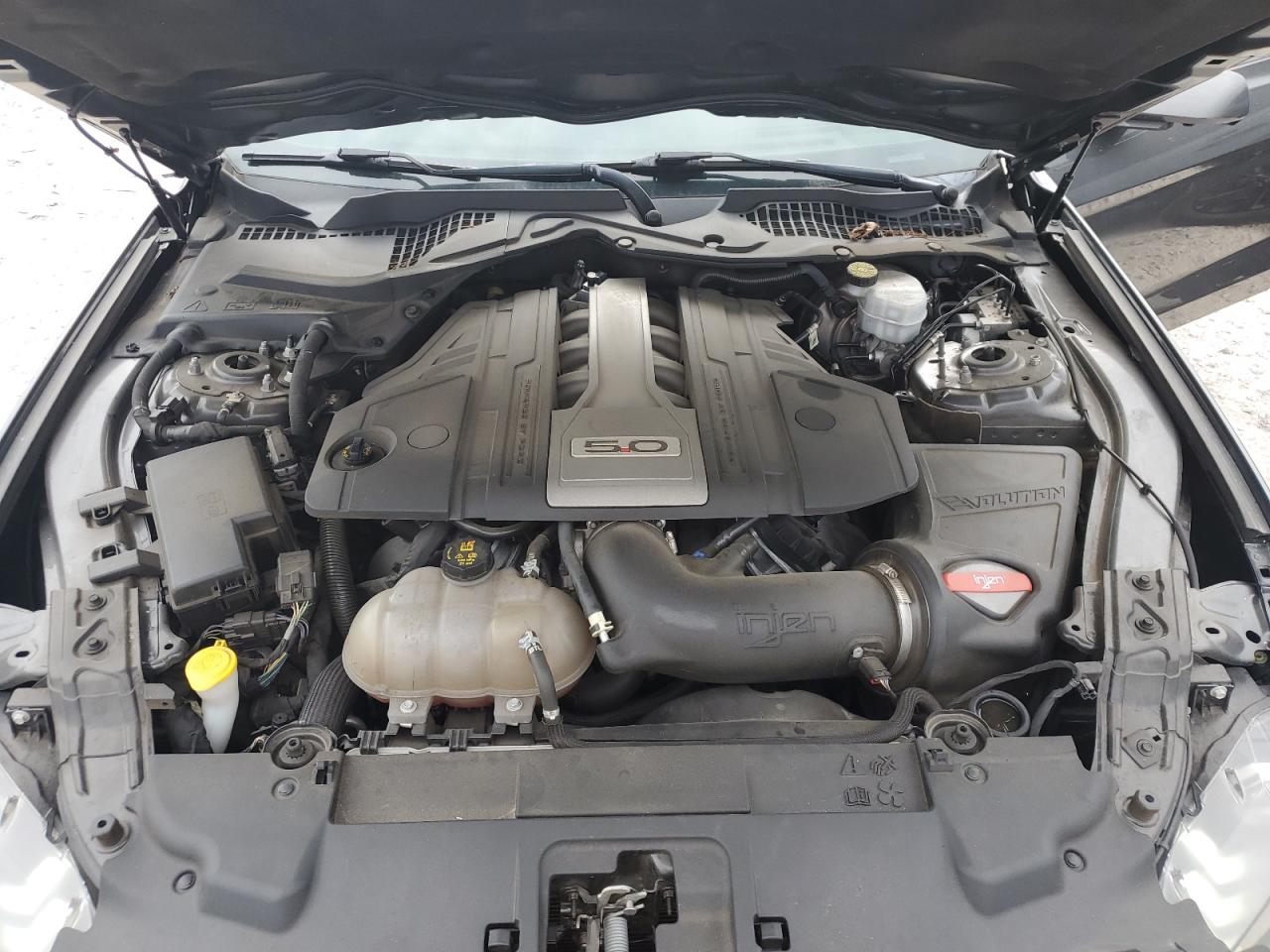 2019 Ford Mustang Gt VIN: 1FA6P8CF5K5173173 Lot: 85355395