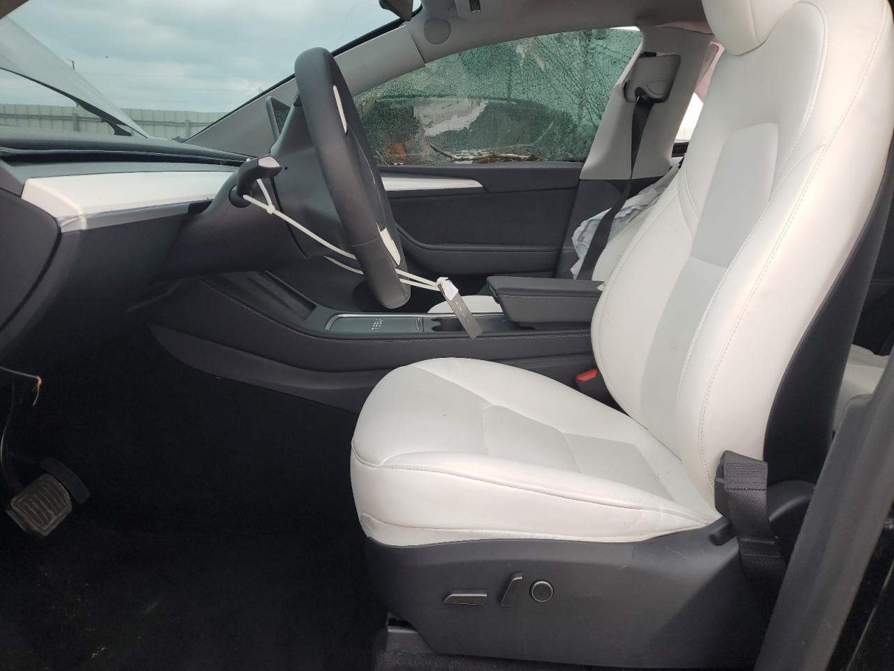 2024 Tesla Model Y VIN: 7SAYGDEE7RA323373 Lot: 81955545