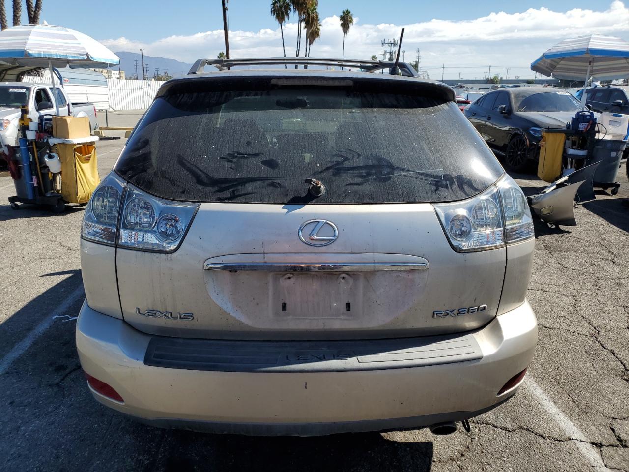 2007 Lexus Rx 350 VIN: 2T2HK31U67C005893 Lot: 84600655