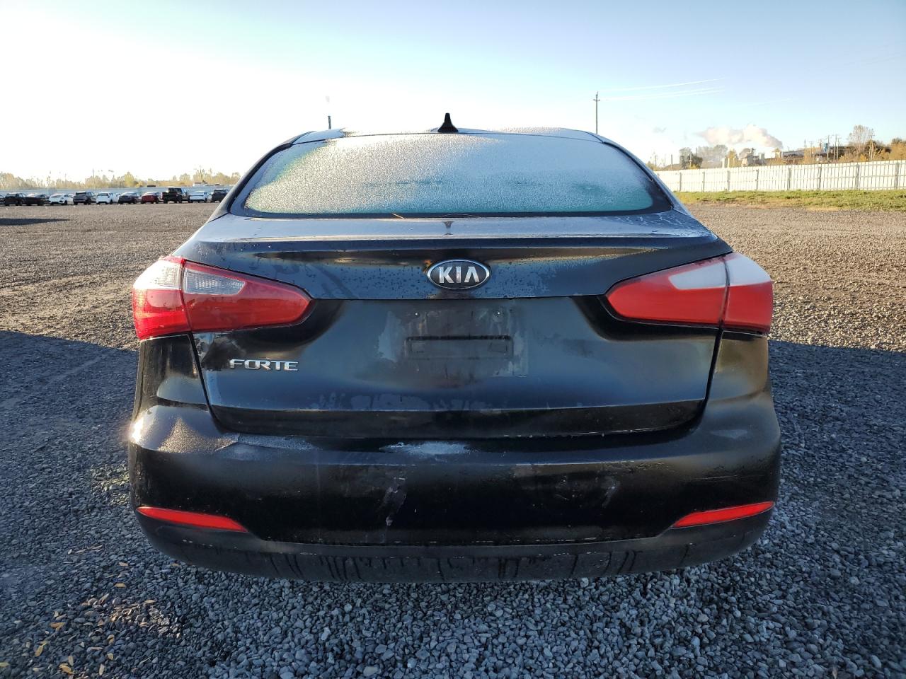 2014 Kia Forte Lx VIN: KNAFK4A65E5099937 Lot: 82769395