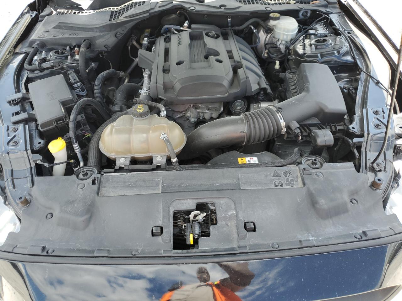 2018 Ford Mustang VIN: 1FA6P8THXJ5107038 Lot: 85892985