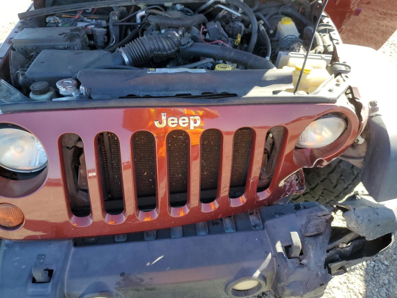 2009 Jeep Wrangler Unlimited X VIN: 1J4GA39189L786323 Lot: 82251295