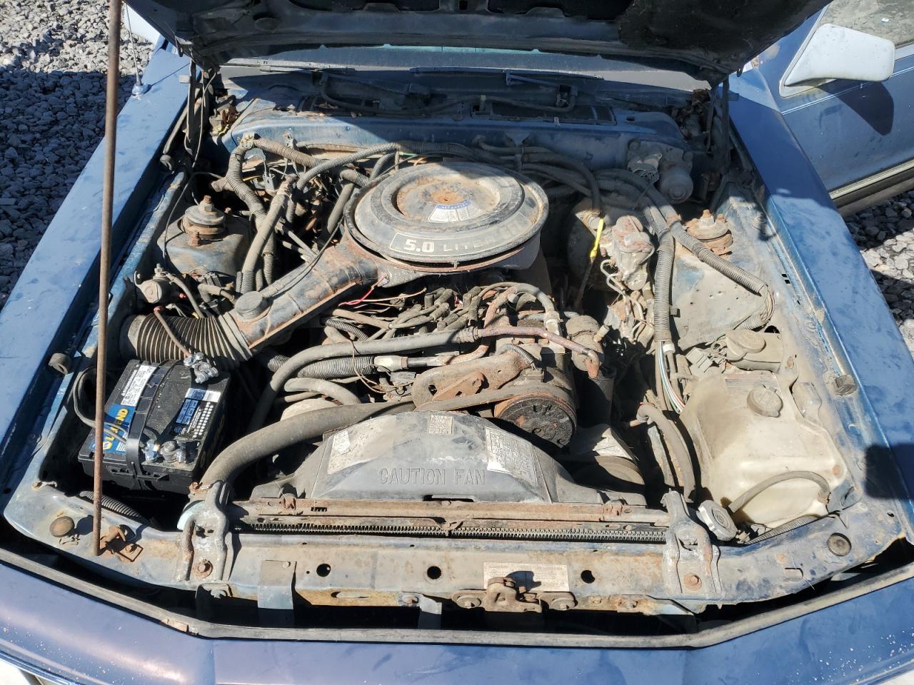 1985 Ford Thunderbird VIN: 1FABP46F0FH113180 Lot: 85123555