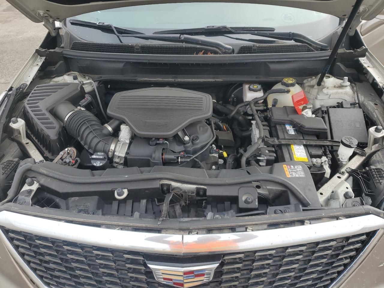 2022 Cadillac Xt5 Premium Luxury VIN: 1GYKNDRS3NZ113203 Lot: 86308275