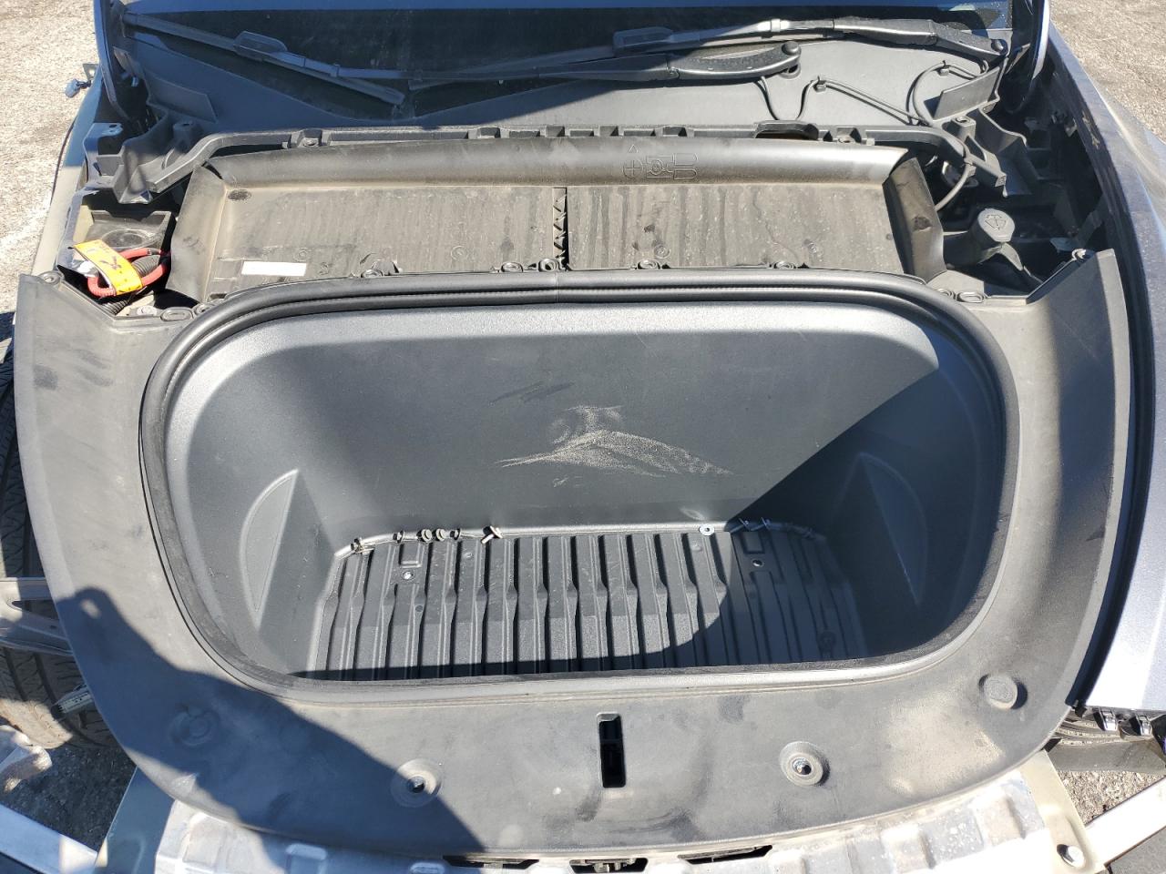 2023 Tesla Model Y VIN: 7SAYGDEE4PF624909 Lot: 81964745