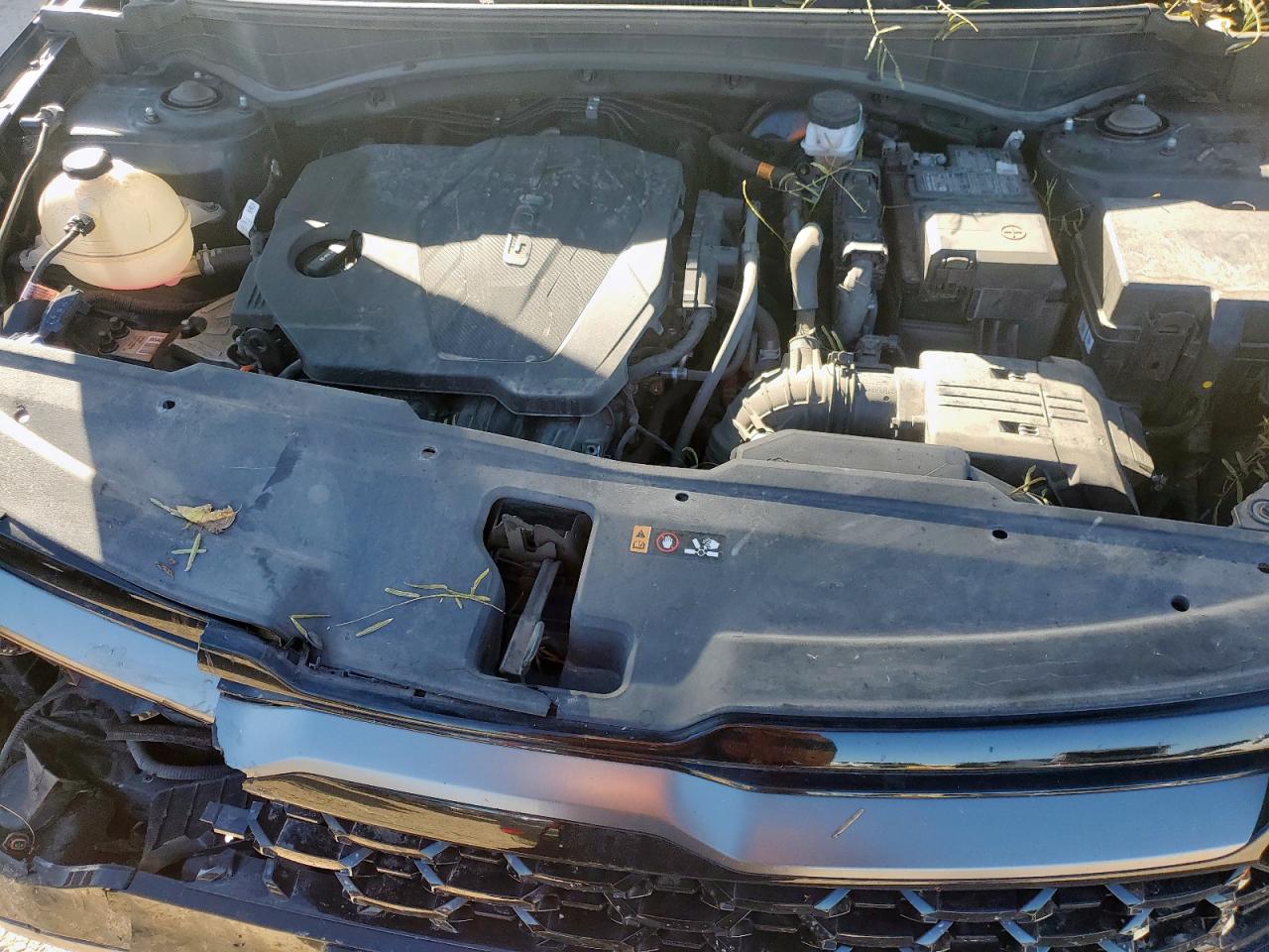 2023 Kia Sportage X Line VIN: 5XYK6CAF8PG007245 Lot: 90900735