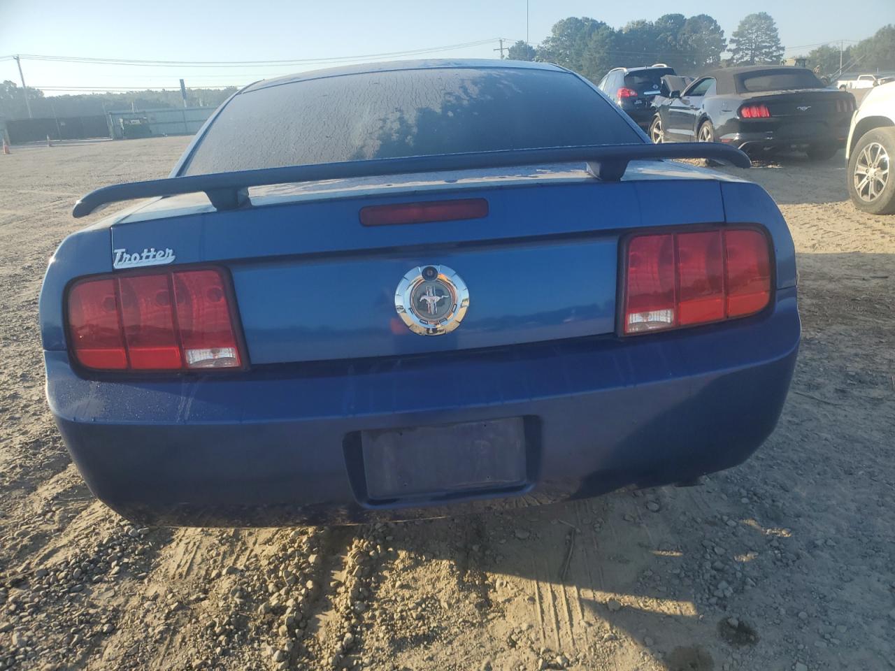 2009 Ford Mustang VIN: 1ZVHT80N395125625 Lot: 84966405