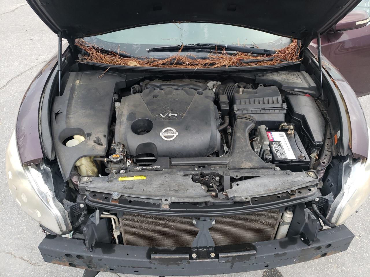 2014 Nissan Maxima S VIN: 1N4AA5APXEC453225 Lot: 82303555