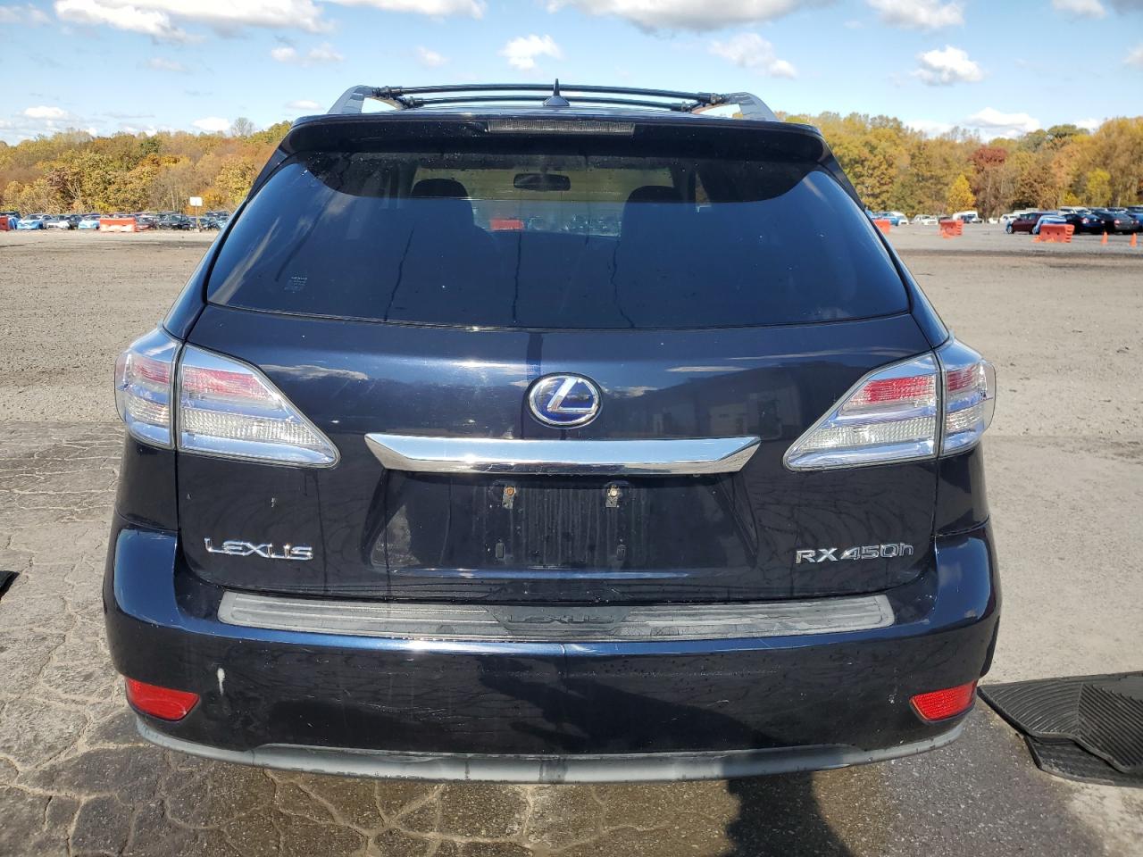 2010 Lexus Rx 450H VIN: JTJBC1BA9A2027325 Lot: 90136765