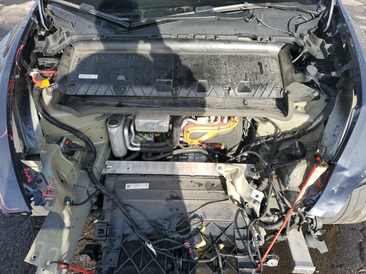 2022 Tesla Model Y VIN: 7SAYGAEE2NF567797 Lot: 86479615