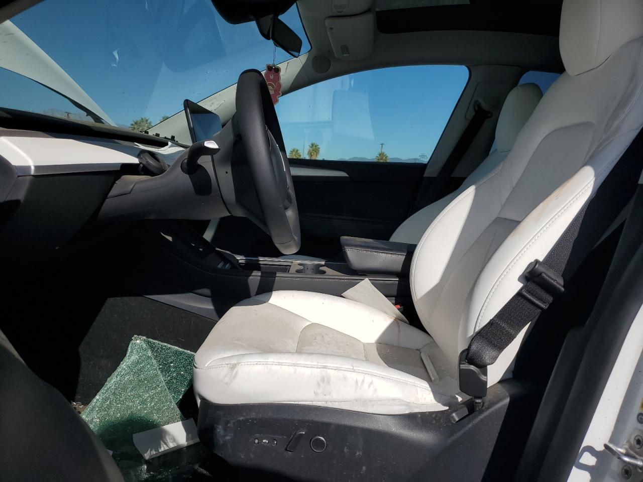 2024 Tesla Model Y VIN: 7SAYGAEE3RF124841 Lot: 85109335