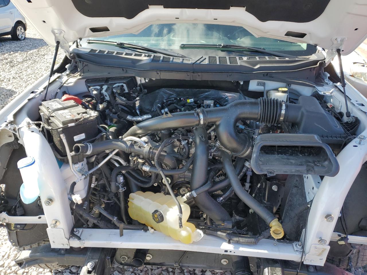 2024 Ford F150 Xlt VIN: 1FTEW3LP0RKF21087 Lot: 87241515