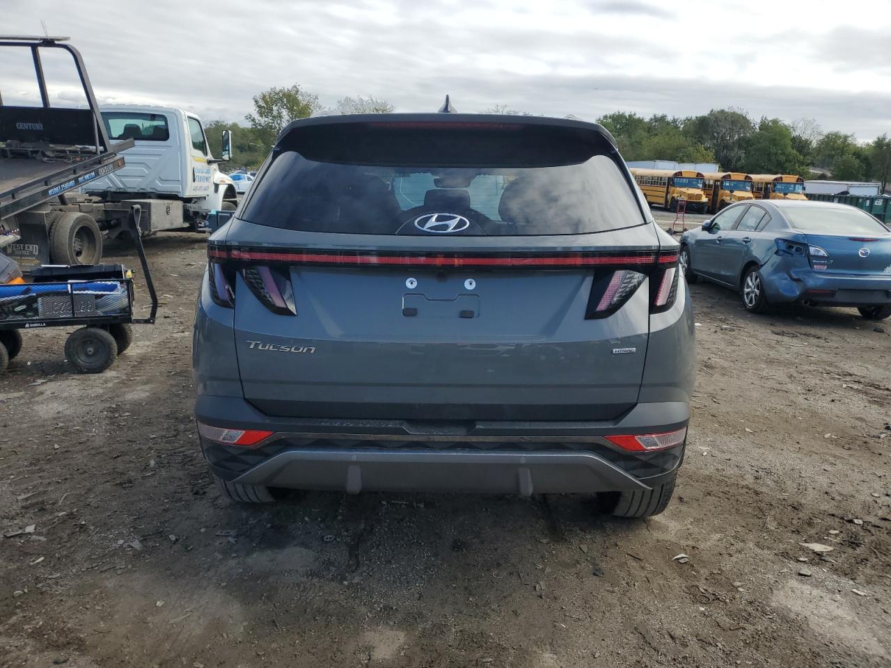 2024 Hyundai Tucson Limited VIN: 5NMJECDE4RH367221 Lot: 82288055