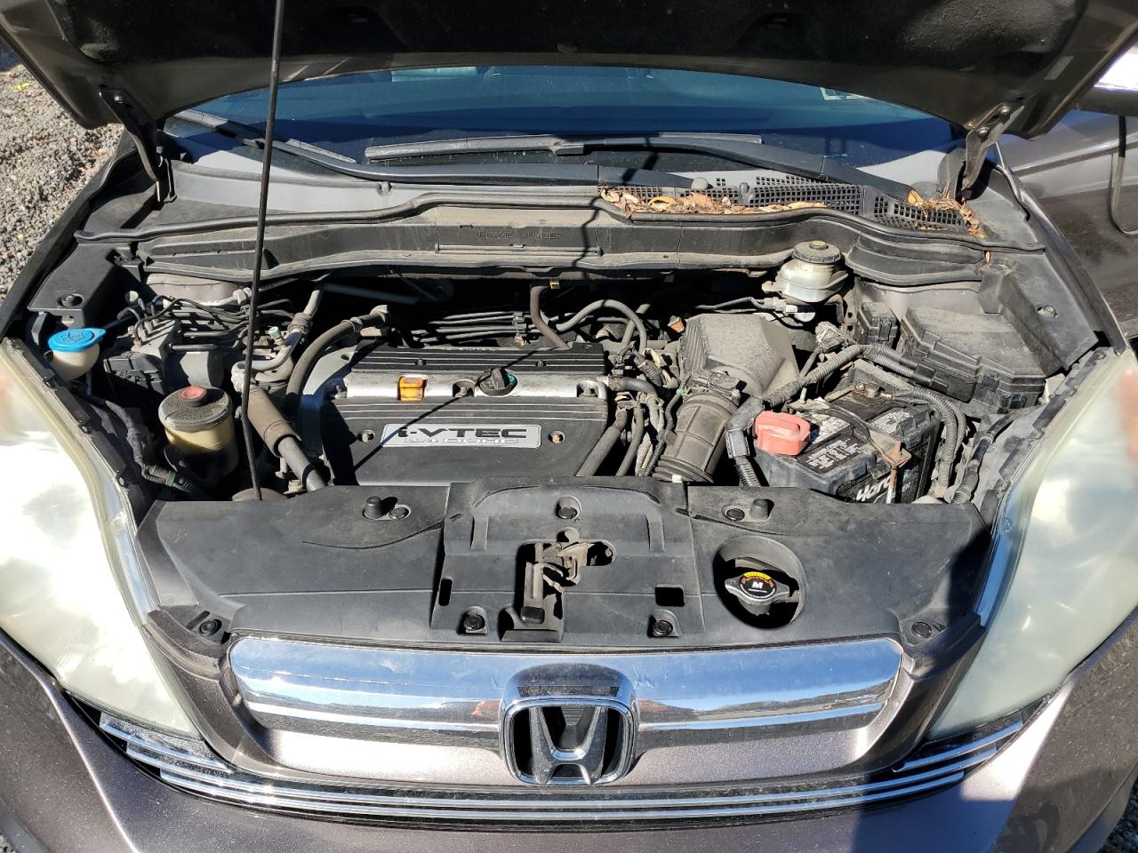 2009 Honda Cr-V Exl VIN: 5J6RE48749L009677 Lot: 89456735