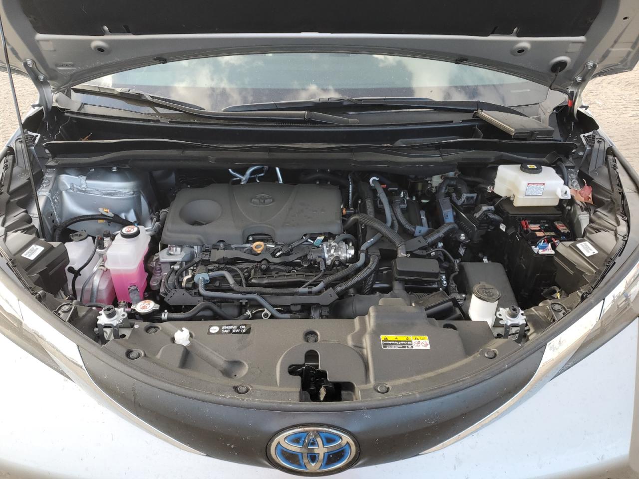 2025 Toyota Sienna Xle VIN: 5TDYRKEC8SS229758 Lot: 81991785