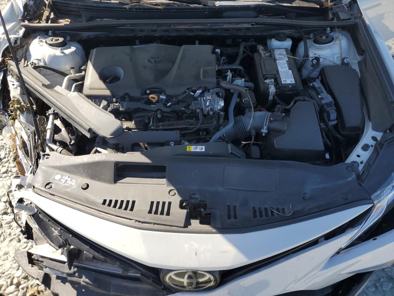 2023 Toyota Camry Le VIN: 4T1C11AK4PU172725 Lot: 81886705