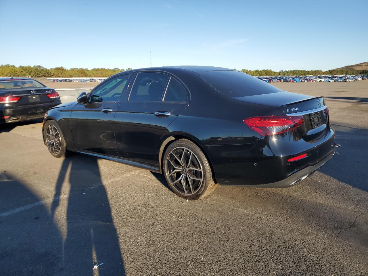 V (W213, S213, C238) V (W213, S213, C238)