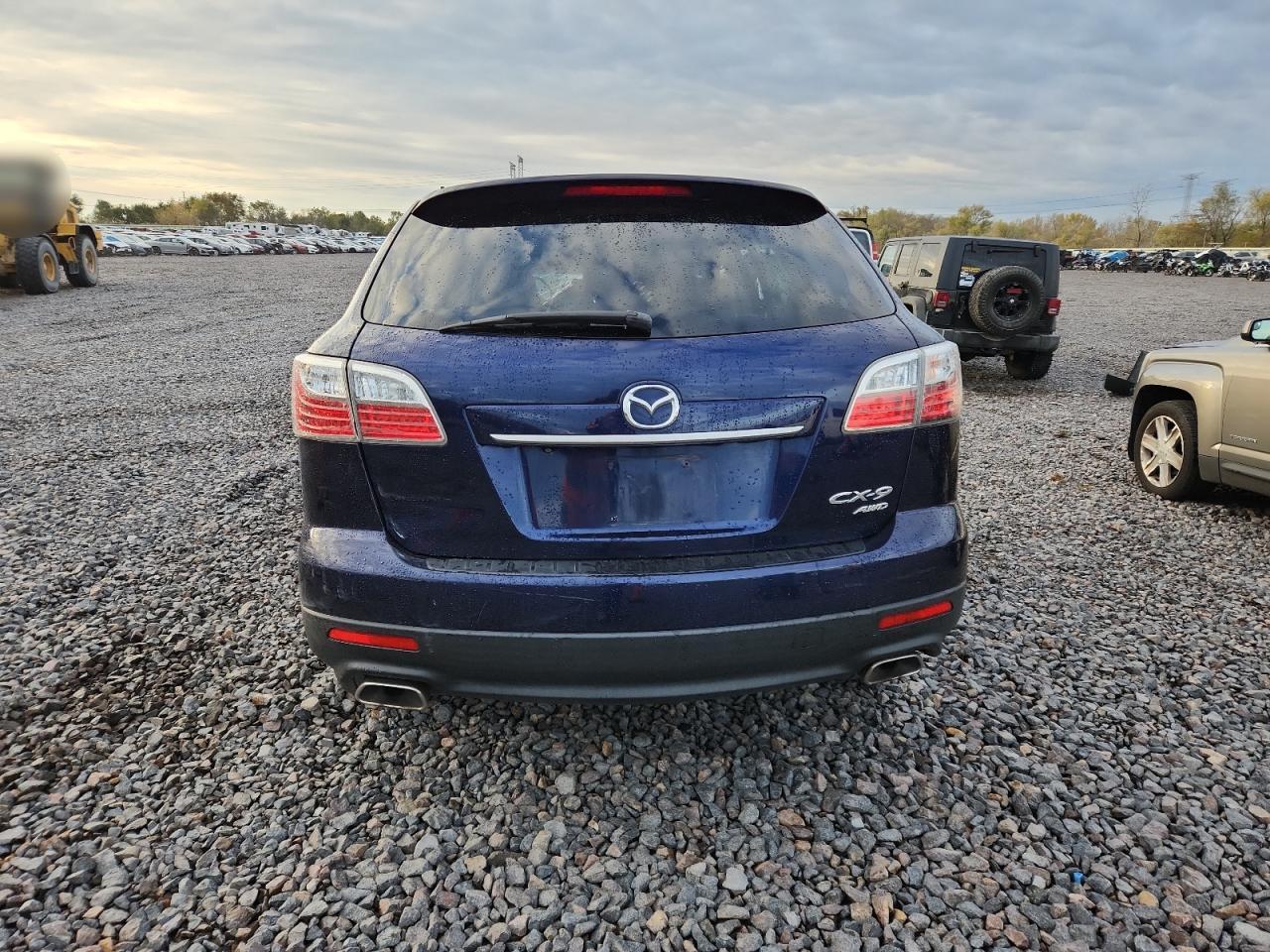 2010 Mazda Cx-9 VIN: JM3TB3MA8A0207207 Lot: 90338345