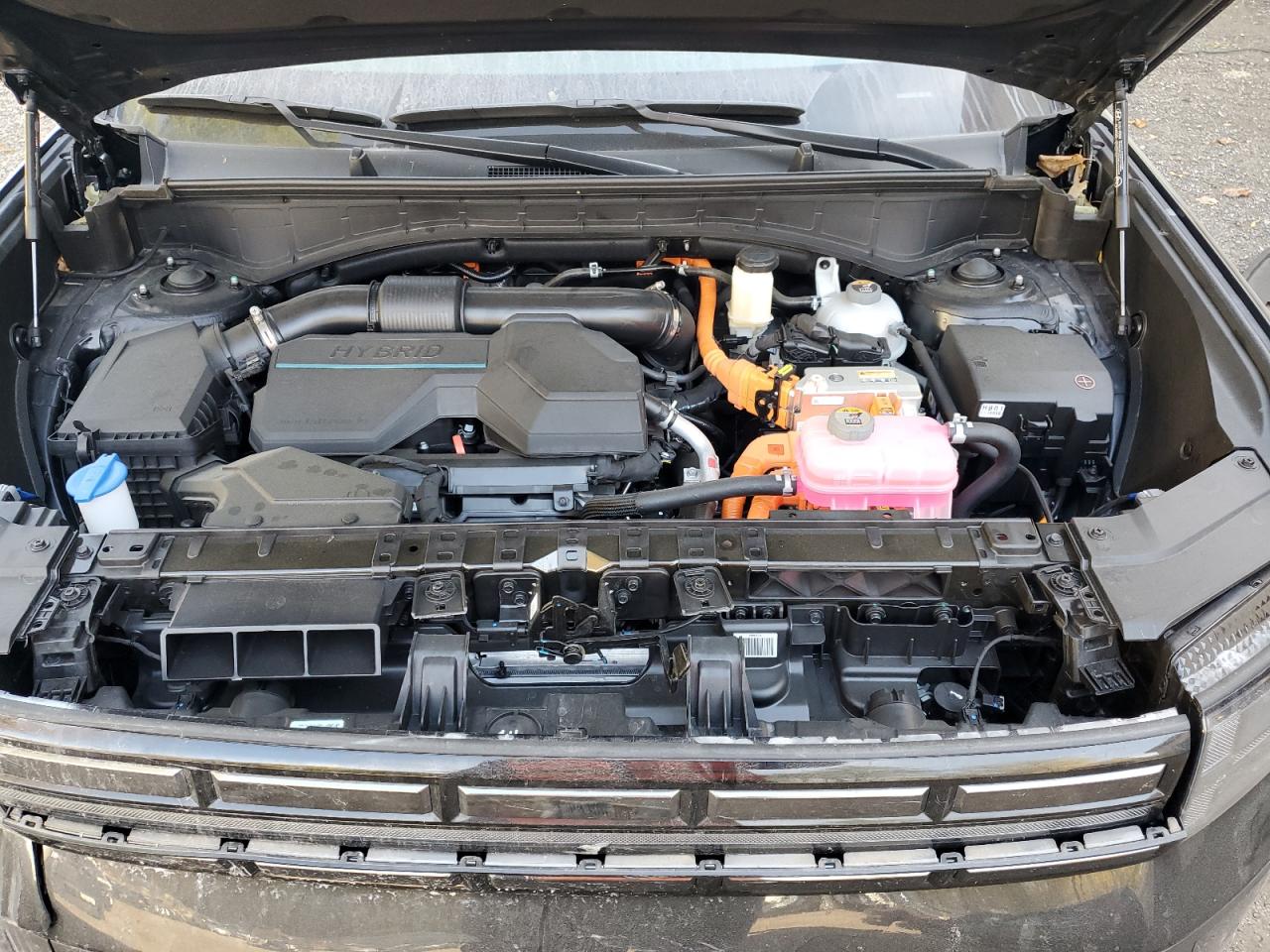 Hyundai Santa Fe VIN: 5NMP3DG10SH02873 Lot: 81920175