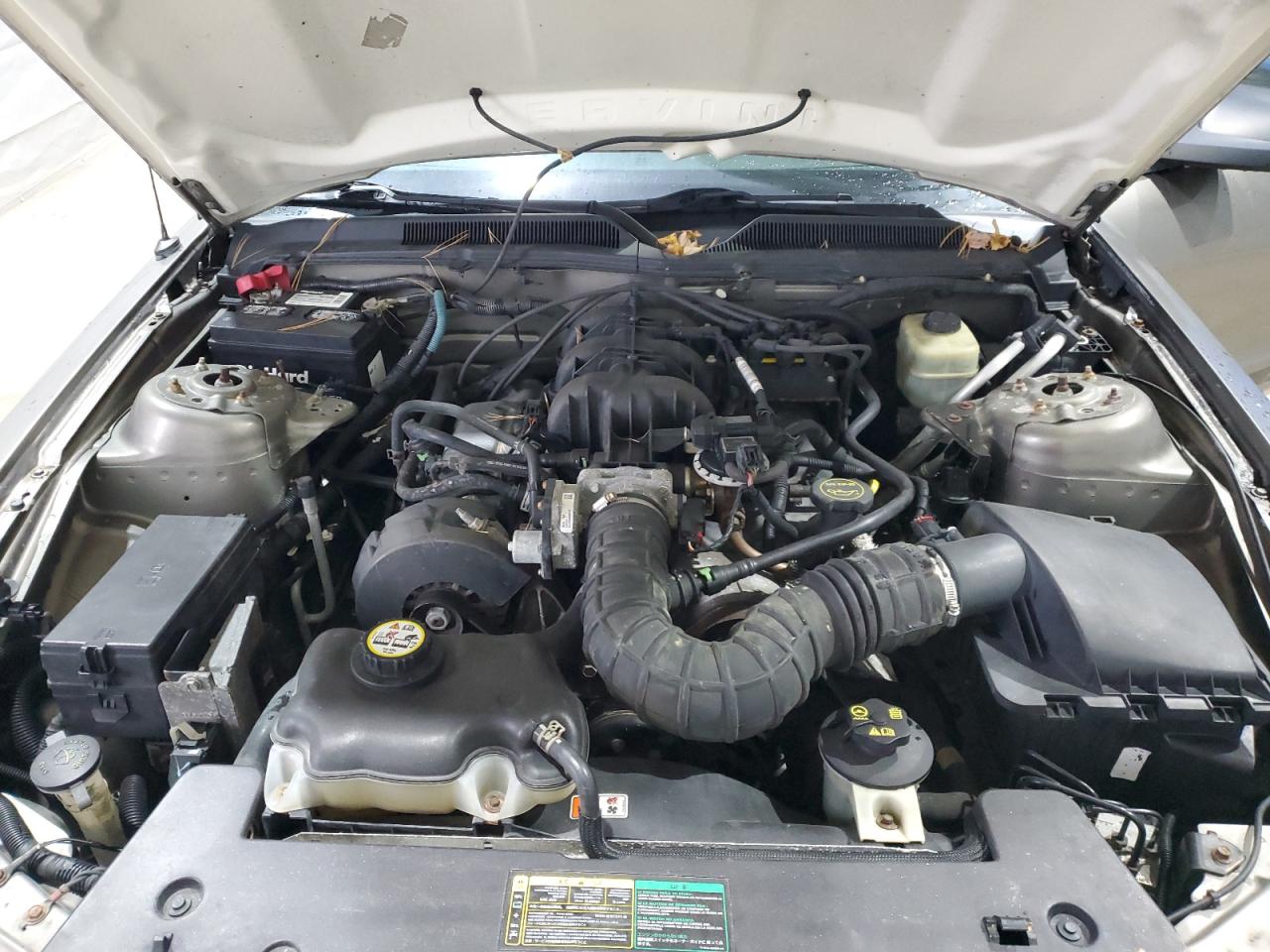 2005 Ford Mustang VIN: 1ZVFT84NX55227418 Lot: 84975425