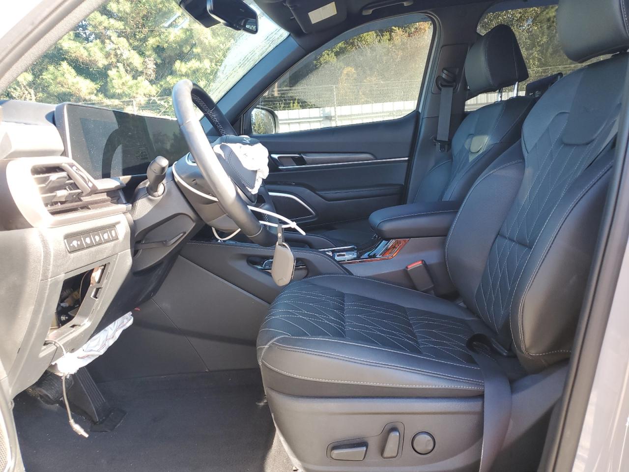 2025 Kia Telluride Ex VIN: 5XYP3DGCXSG589696 Lot: 85303025