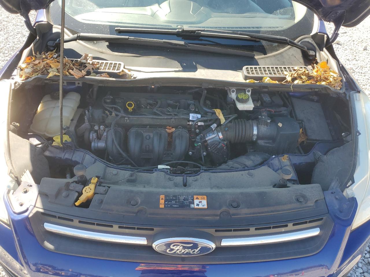 2016 Ford Escape Se VIN: 1FMCU0G77GUB61495 Lot: 82229135