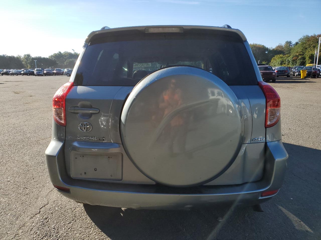 2008 Toyota Rav4 VIN: JTMBD33V486068011 Lot: 82182735