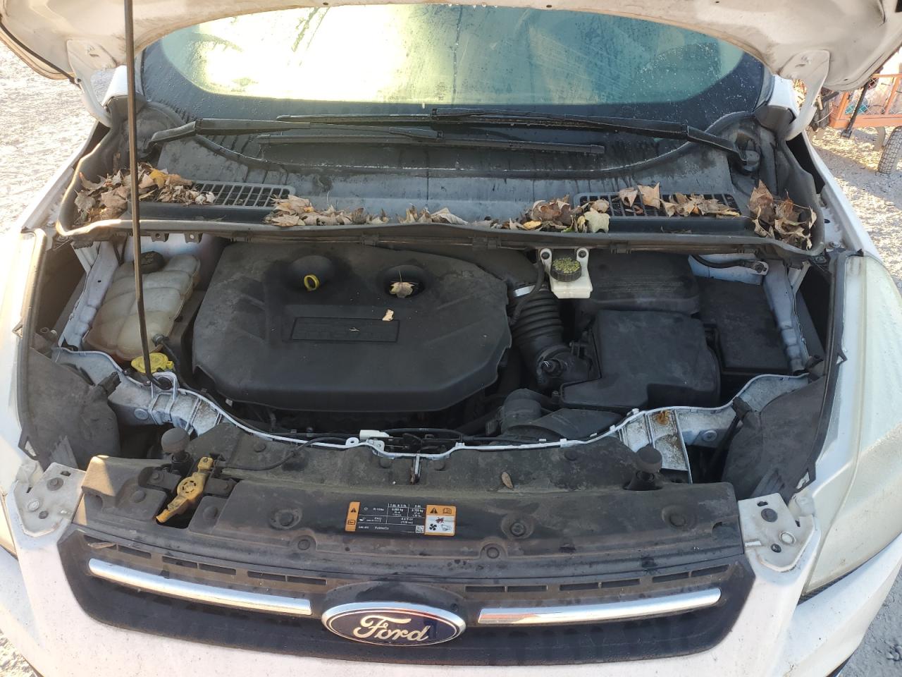 2014 Ford Escape Se VIN: 1FMCU0G92EUB65310 Lot: 82431215