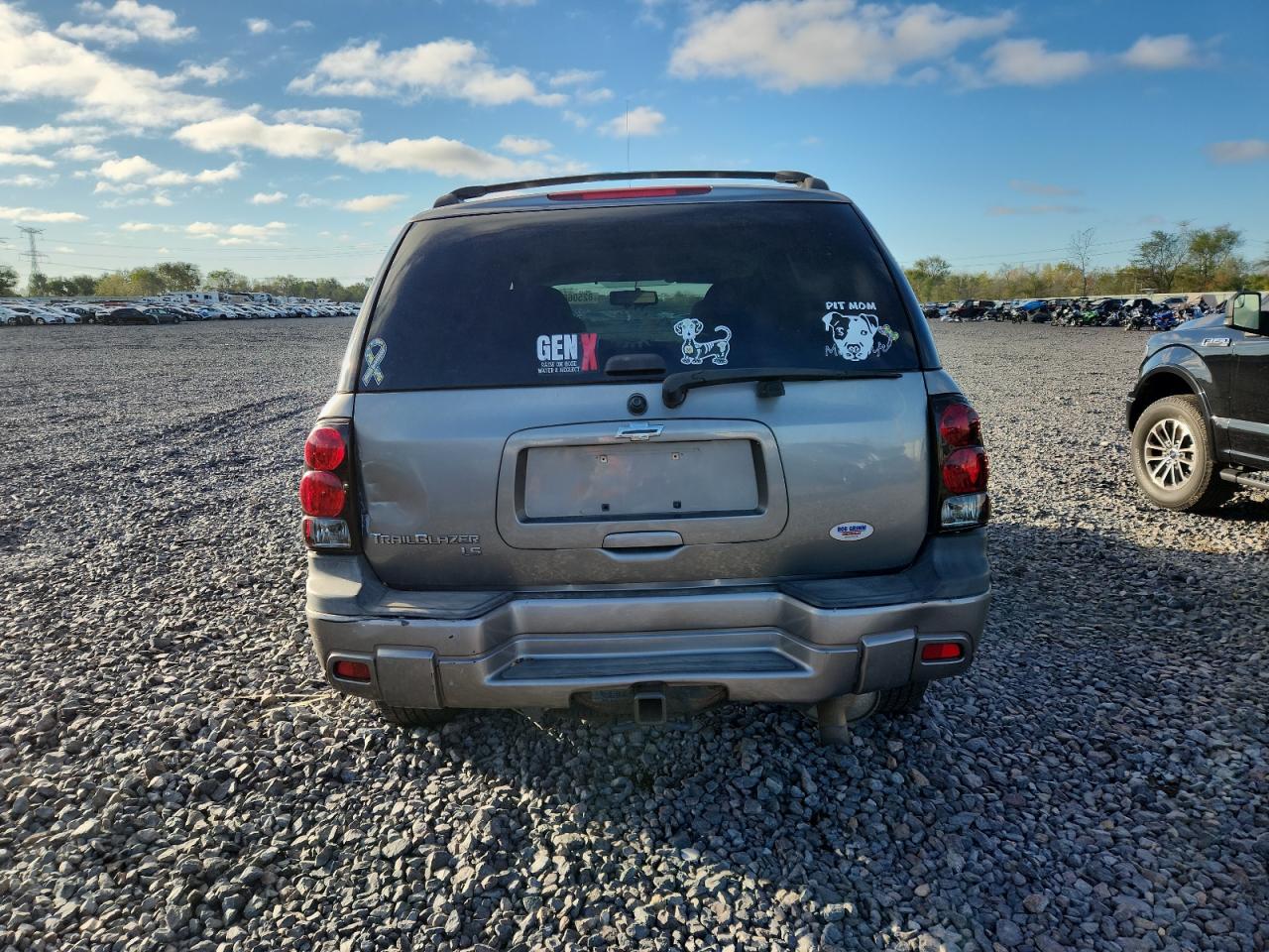 2008 Chevrolet Trailblazer Ls VIN: 1GNDS13SX82139462 Lot: 82506645