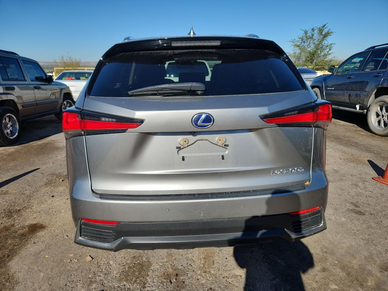 2020 Lexus Nx 300H VIN: JTJGJRDZ6L2144716 Lot: 84446535