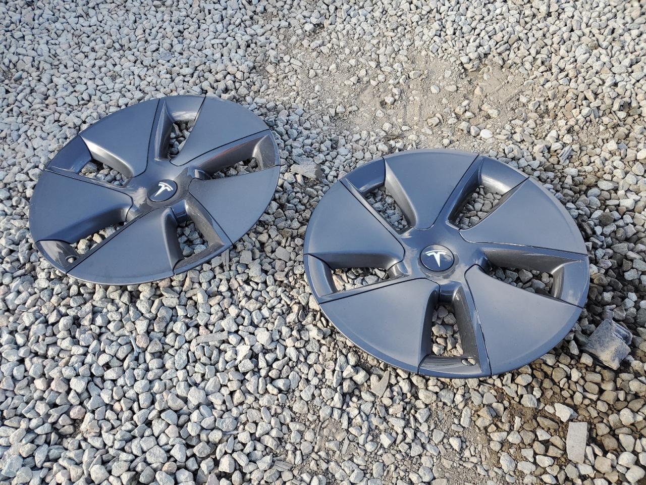 2021 Tesla Model 3 VIN: 5YJ3E1EA8MF877767 Lot: 86181725