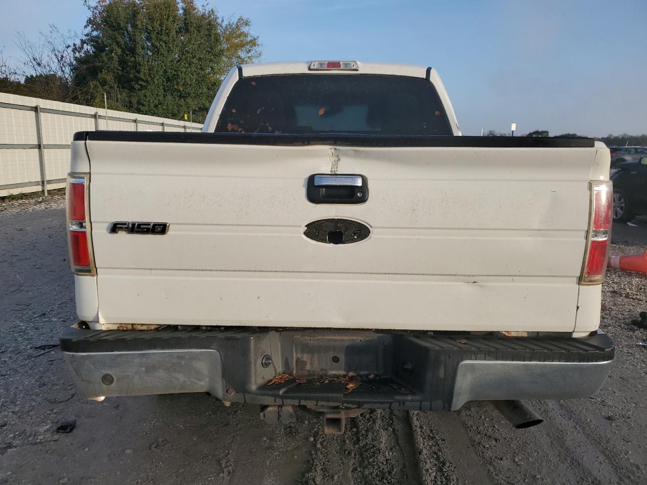 2010 Ford F150 Supercrew VIN: 1FTEW1C82AFB14964 Lot: 90802385