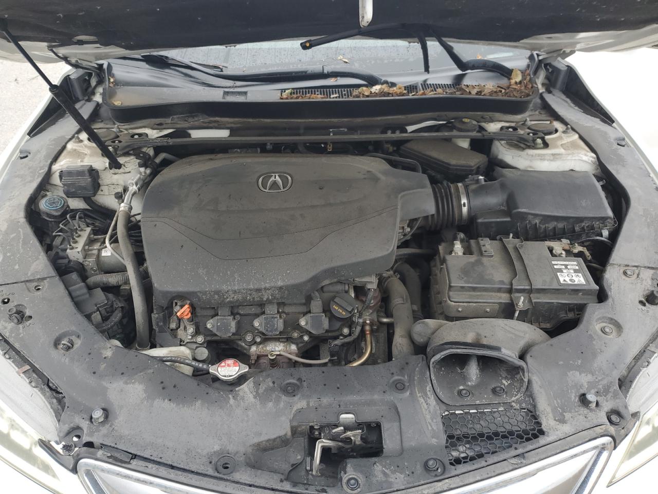 2016 Acura Tlx VIN: 19UUB2F39GA000920 Lot: 89477195
